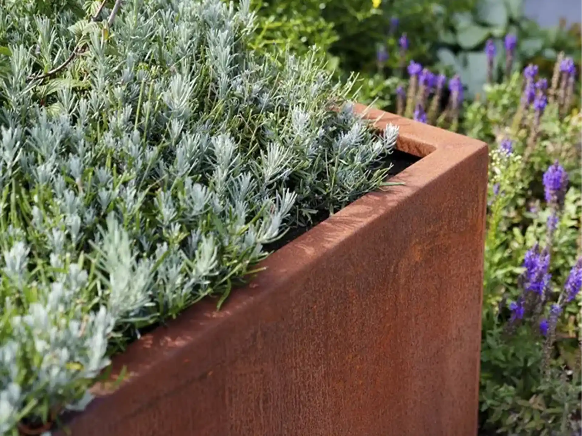 Close-up van de Adezz Carrez Cortenstaal Plantenbak Rechthoek met wielen, gevuld met sierplanten en lavendel in een tuin.