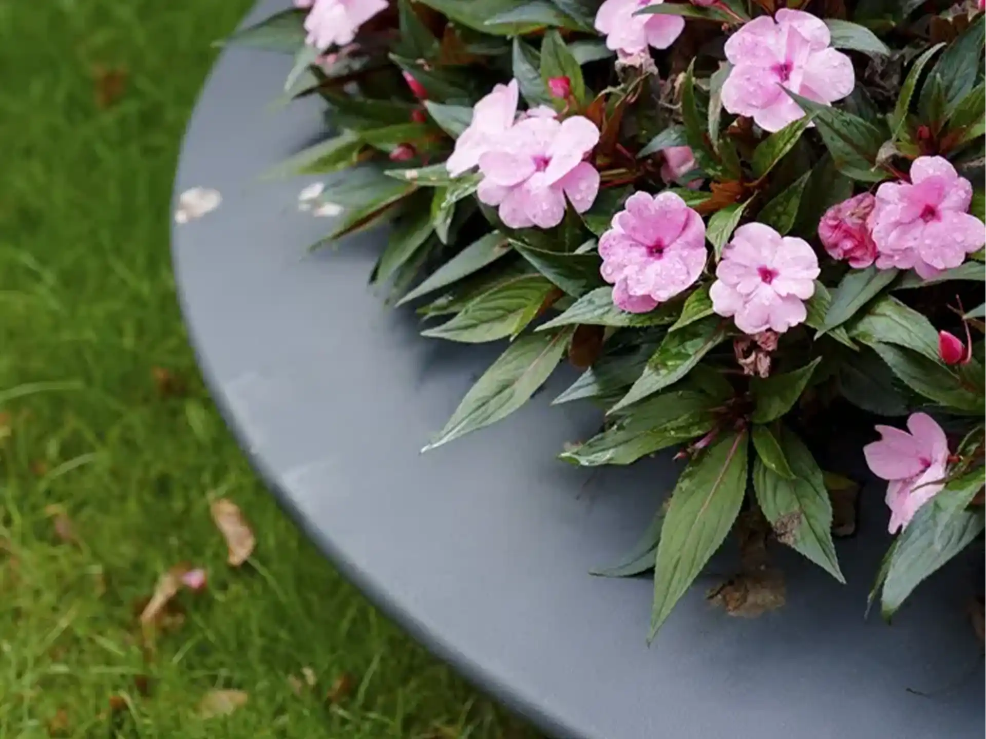 Detailfoto van Adezz Ceder polyester plantenbak rond schaalmodel in zwart met roze bloemen.
