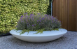 Adezz Ceder polyester plantenbak rond schaalmodel in wit met paarse bloemen, geplaatst op grind.