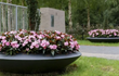 Adezz Ceder polyester plantenbak rond schaalmodel in zwart, gevuld met roze bloemen in een tuin.
