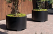 Grote zwarte Adezz Circum aluminium plantenbak met jonge bomen en siergroen bij een houten gevel.