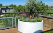 Witte Adezz Circum aluminium plantenbak rond met olijfboom en kleurrijke beplanting op een dakterras.
