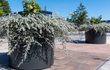 Grote zwarte Adezz Circum aluminium plantenbak rond met sierlijke beplanting op een modern terras.