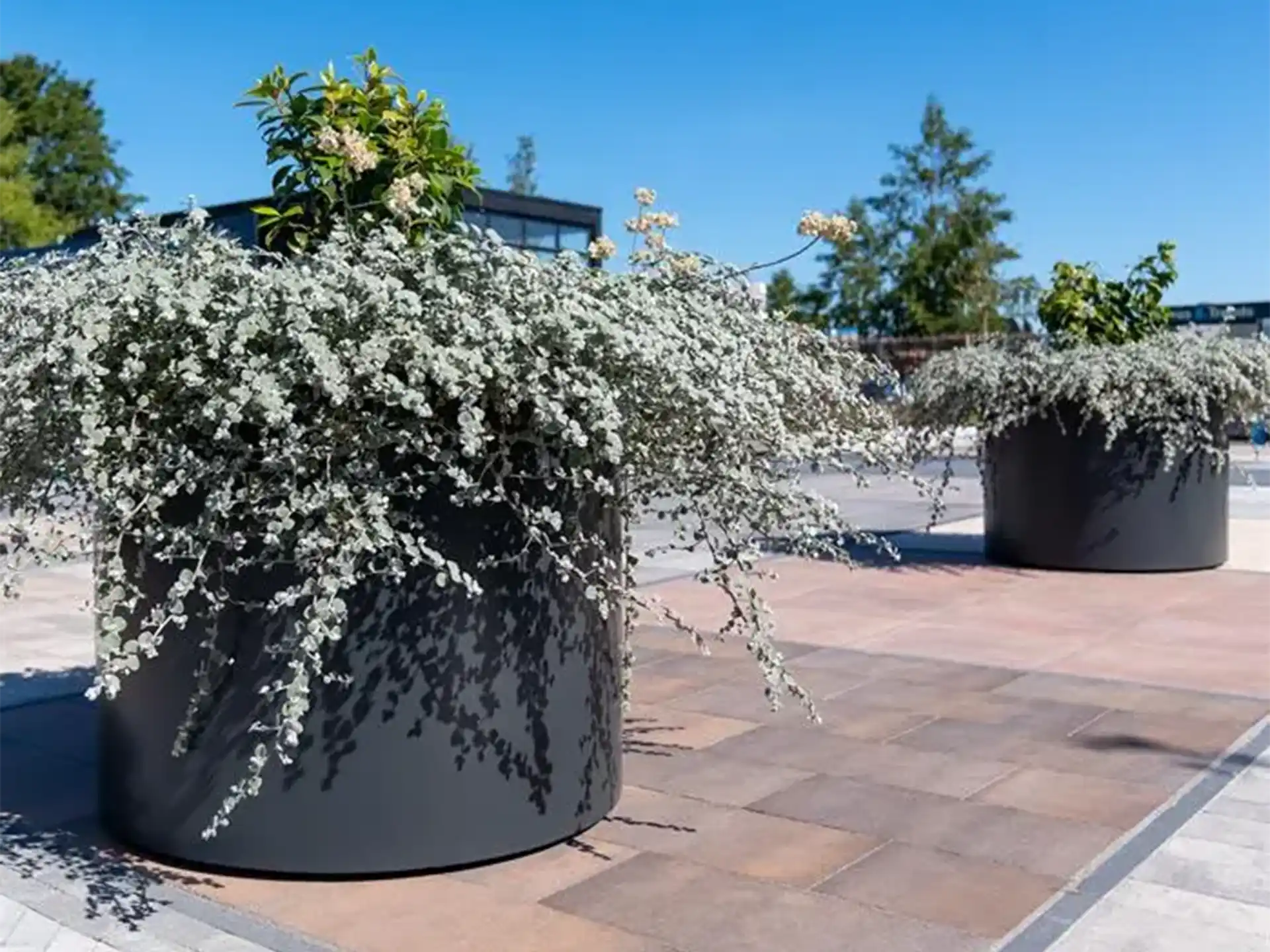 Grote zwarte Adezz Circum aluminium plantenbak rond met sierlijke beplanting op een modern terras.