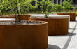 Grote Adezz Circum Cortenstaal Plantenbak Rond Recht met bodem, beplant met kleine bomen op een moderne buitenlocatie.
