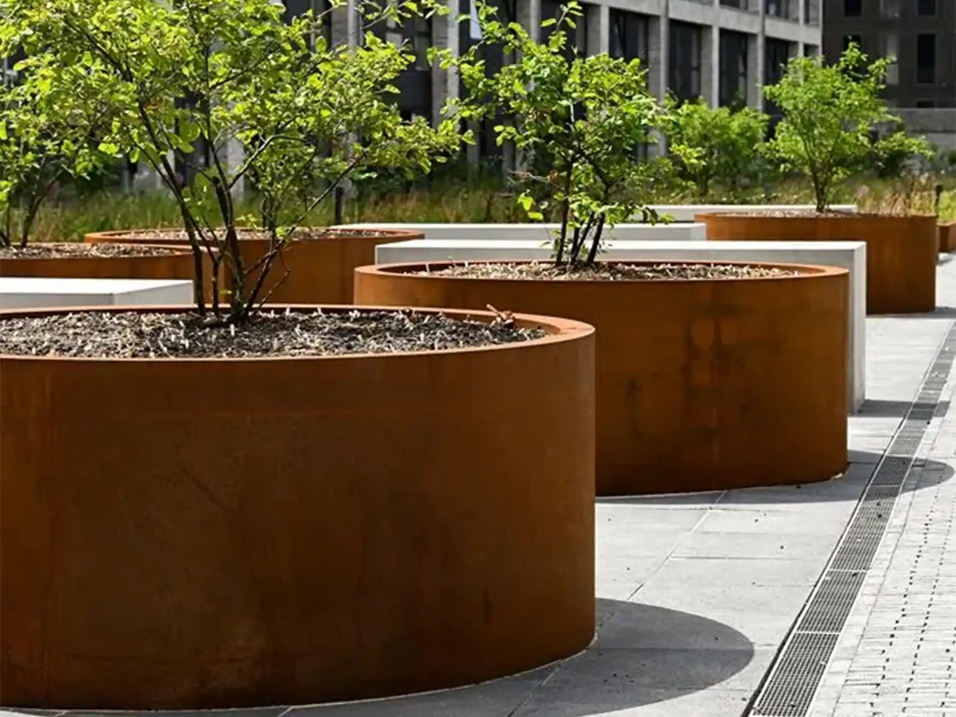 Grote Adezz Circum Cortenstaal Plantenbak Rond Recht met bodem, beplant met kleine bomen op een moderne buitenlocatie.
