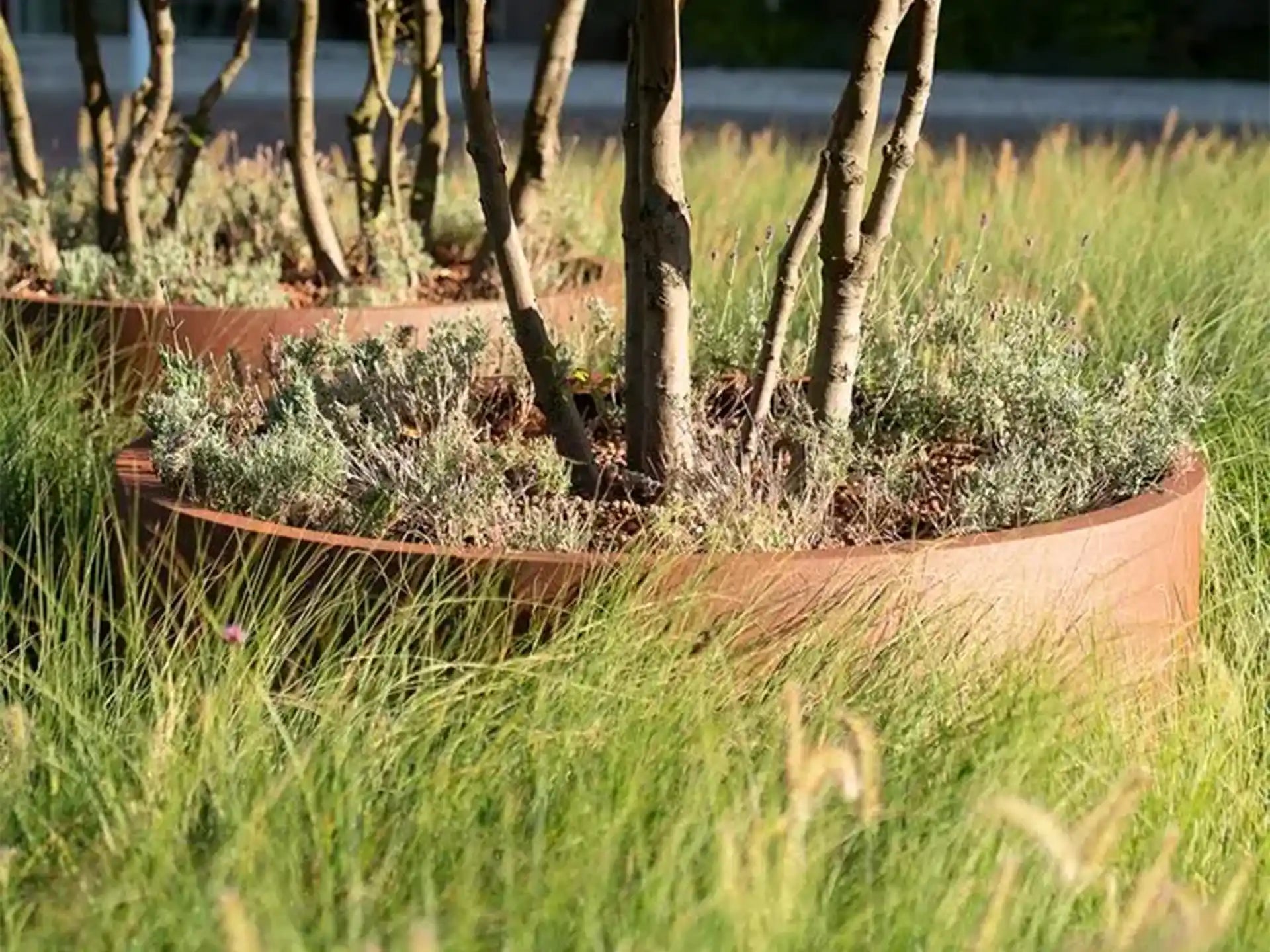 Adezz Circum Cortenstaal Plantenbak Rond zonder bodem, beplant met meerdere bomen in een groene tuin.