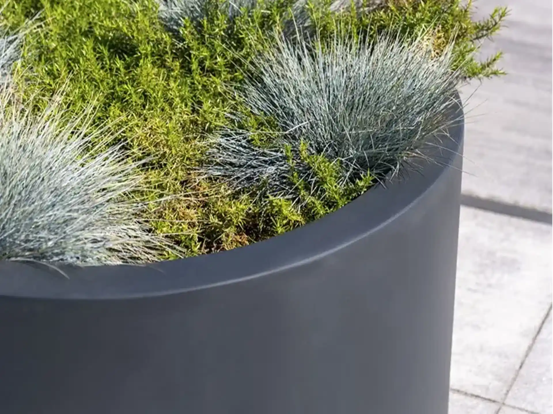 Adezz Circum polyester plantenbak rond recht in grijs gevuld met groene beplanting op een terras.