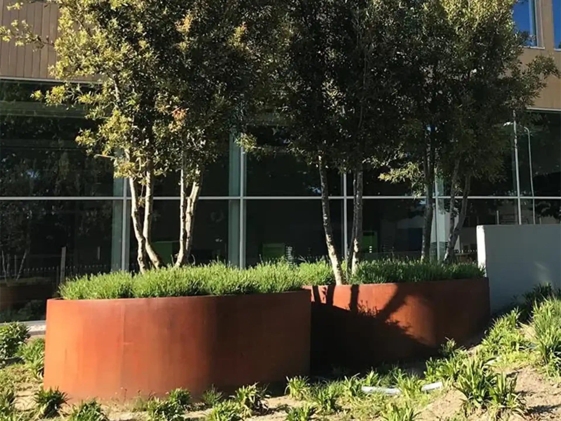Grote Adezz Circum Cortenstaal Plantenbak Rond zonder bodem, gevuld met bomen en planten in een moderne buitenruimte.