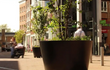 Adezz Conic aluminium plantenbak met poten en beplanting in een winkelstraat met stedelijke omgeving.