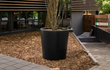 Grote Adezz Conic aluminium plantenbak rond met boom, geplaatst in een strakke tuin naast een modern gebouw.