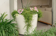 Adezz Conic polyester plantenbak rond schuin in het wit met groene planten en bloemen bij een terras.