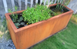 Adezz cortenstaal vijver in een compacte tuin, gevuld met groene waterplanten, natuurlijke roestkleurige uitstraling.