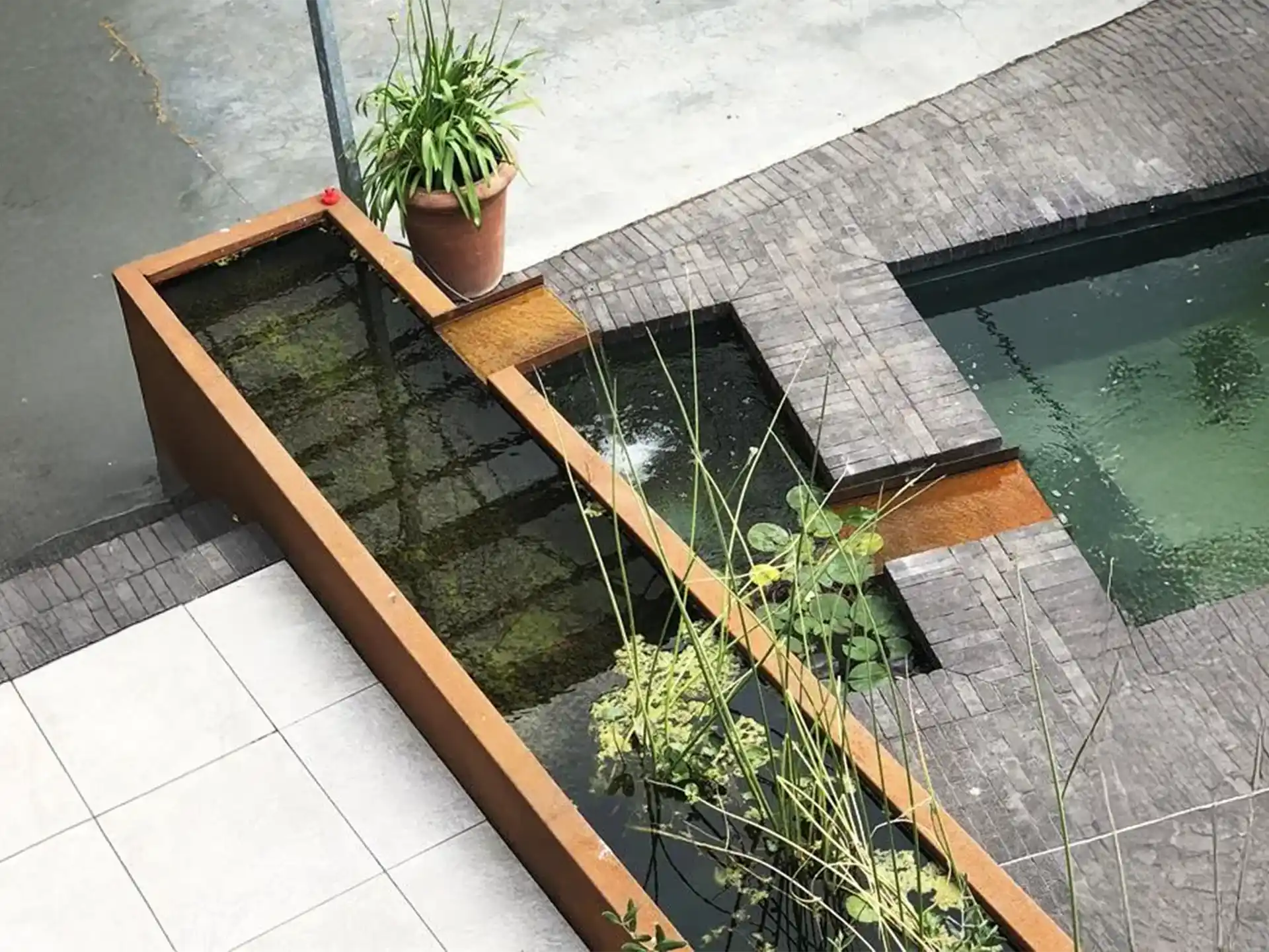 Adezz vijver van cortenstaal, smal en langwerpig model naast een zwembad, gevuld met waterplanten.