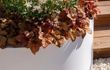 Close-up van een witte Adezz Ellipse aluminium plantenbak gevuld met bloeiende planten en herfstbladeren.