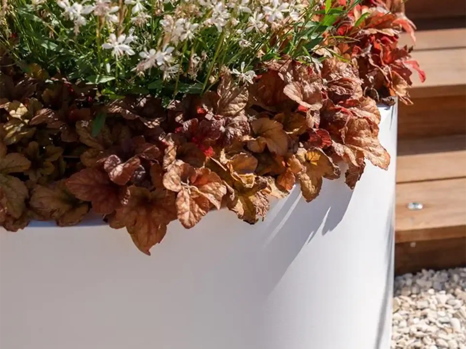 Close-up van een witte Adezz Ellipse aluminium plantenbak gevuld met bloeiende planten en herfstbladeren.