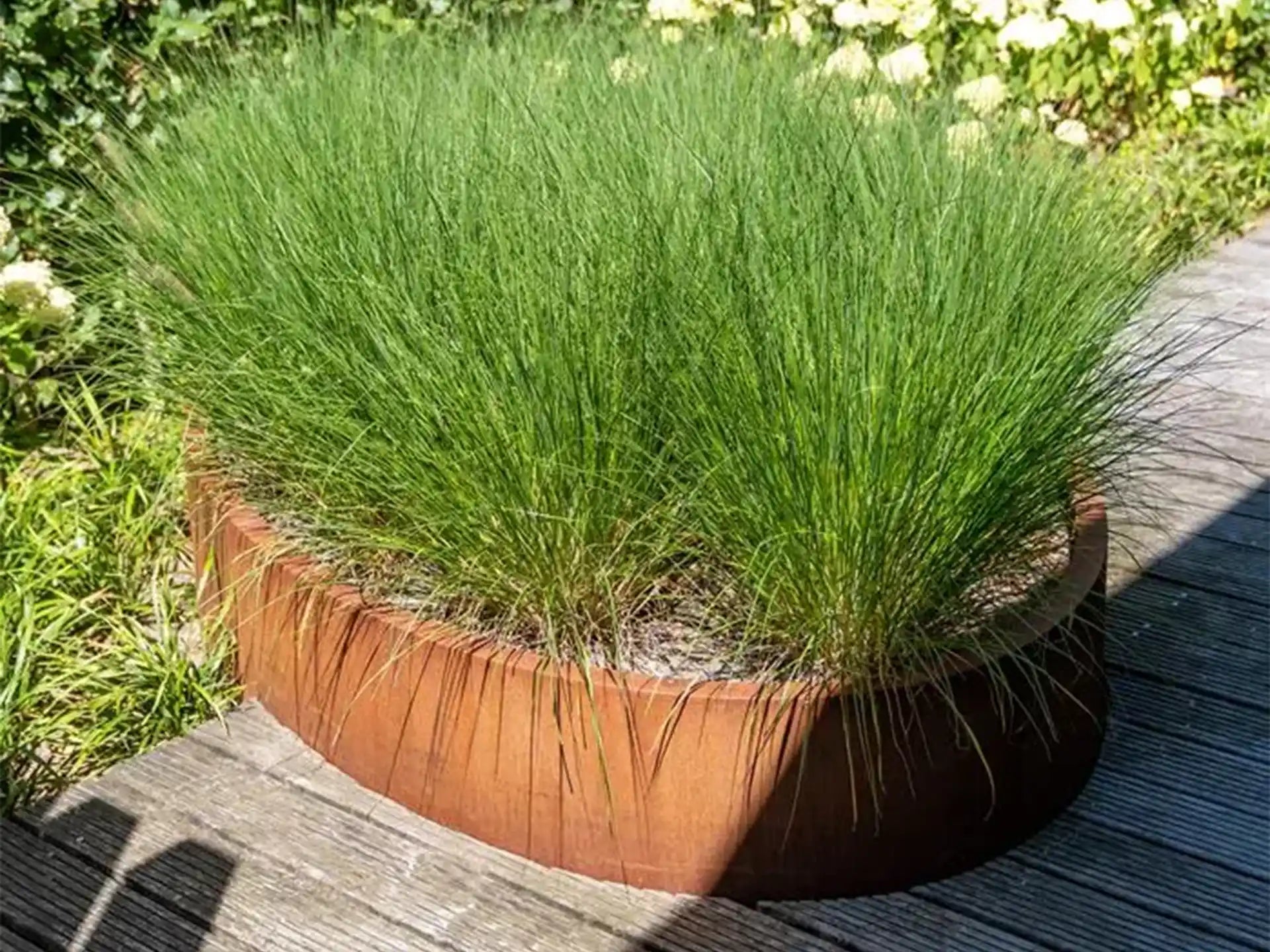 Adezz Ellipse Cortenstaal Plantenbak Ovaal met bodem, gevuld met groene sierplanten op een houten terras.