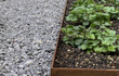 Adezz kantopsluiting van cortenstaal in hoek, gebruikt als strakke border tussen grind en planten.
