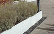 Kantopsluiting verzinkt staal van Adezz toegepast langs tuinpad en beplanting voor een nette en moderne afwerking.
