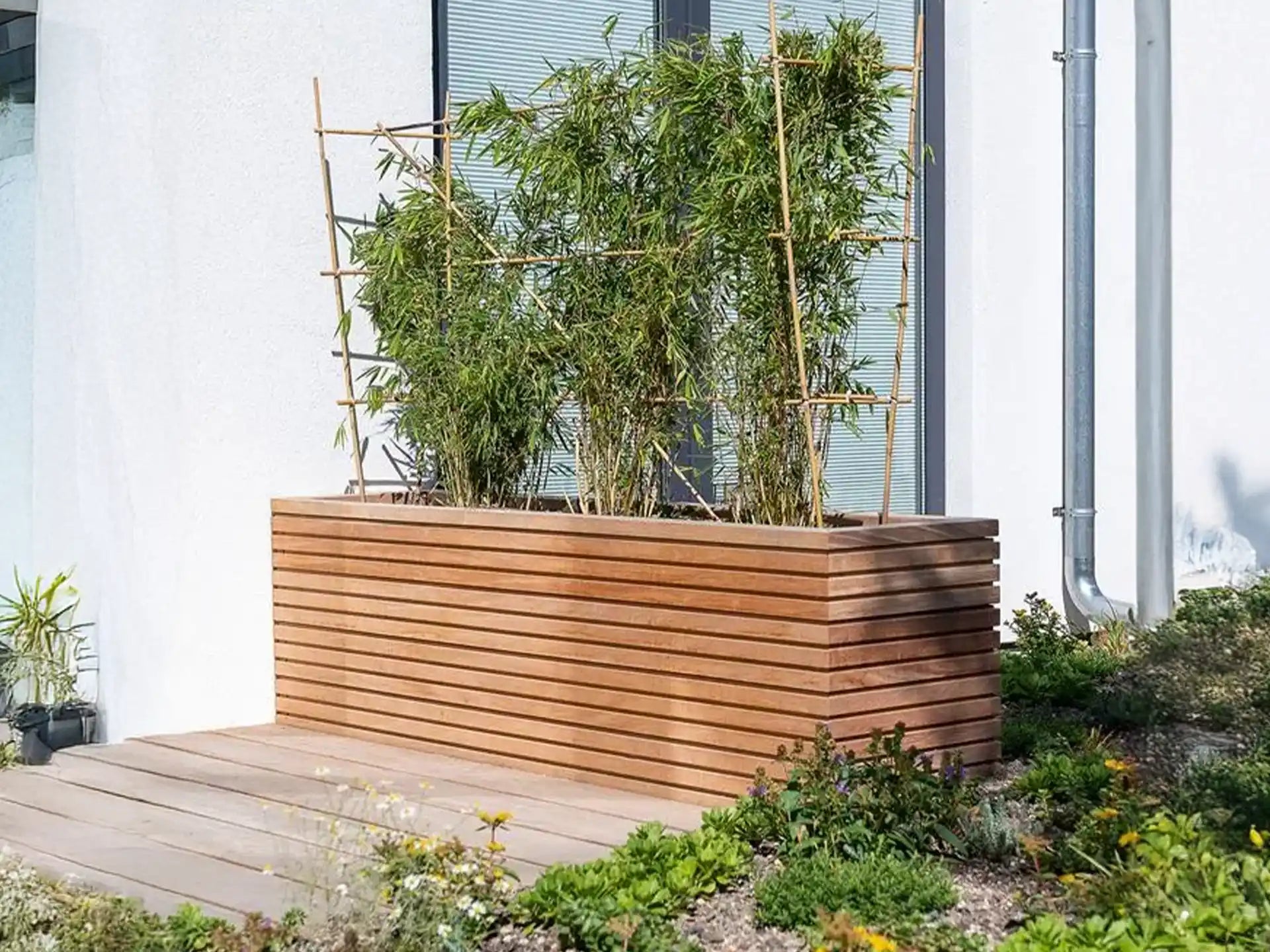 Adezz Malaga Rhombus hardhouten plantenbak, gevuld met bamboe en geplaatst op een modern terras tegen een houten wand.