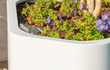 Detail van Adezz Shape polyester plantenbak rond hoeking model in wit met kleurrijke beplanting.