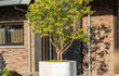 Adezz Shape polyester plantenbak rond hoeking model in wit bij een woning met boom en rode bakstenen muur.