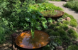 Adezz waterschaal van cortenstaal met waterplanten, geplaatst in een groene tuin tussen gras en struiken.