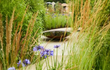 Adezz waterschaal cortenstaal geplaatst in een groene tuinomgeving met siergrassen en bloemen rondom.