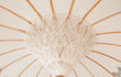 Detailopname van de binnenkant van een Balinese crème parasol met half zilveren beschildering en traditionele houten constructie.