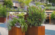 Rechthoekige Adezz Carrez Cortenstaal Plantenbak met wielen gevuld met kleurrijke bloemen en planten op een terras.