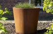Adezz Conic Cortenstaal Plantenbak Rond met bodem, gevuld met grasplanten naast een woning.