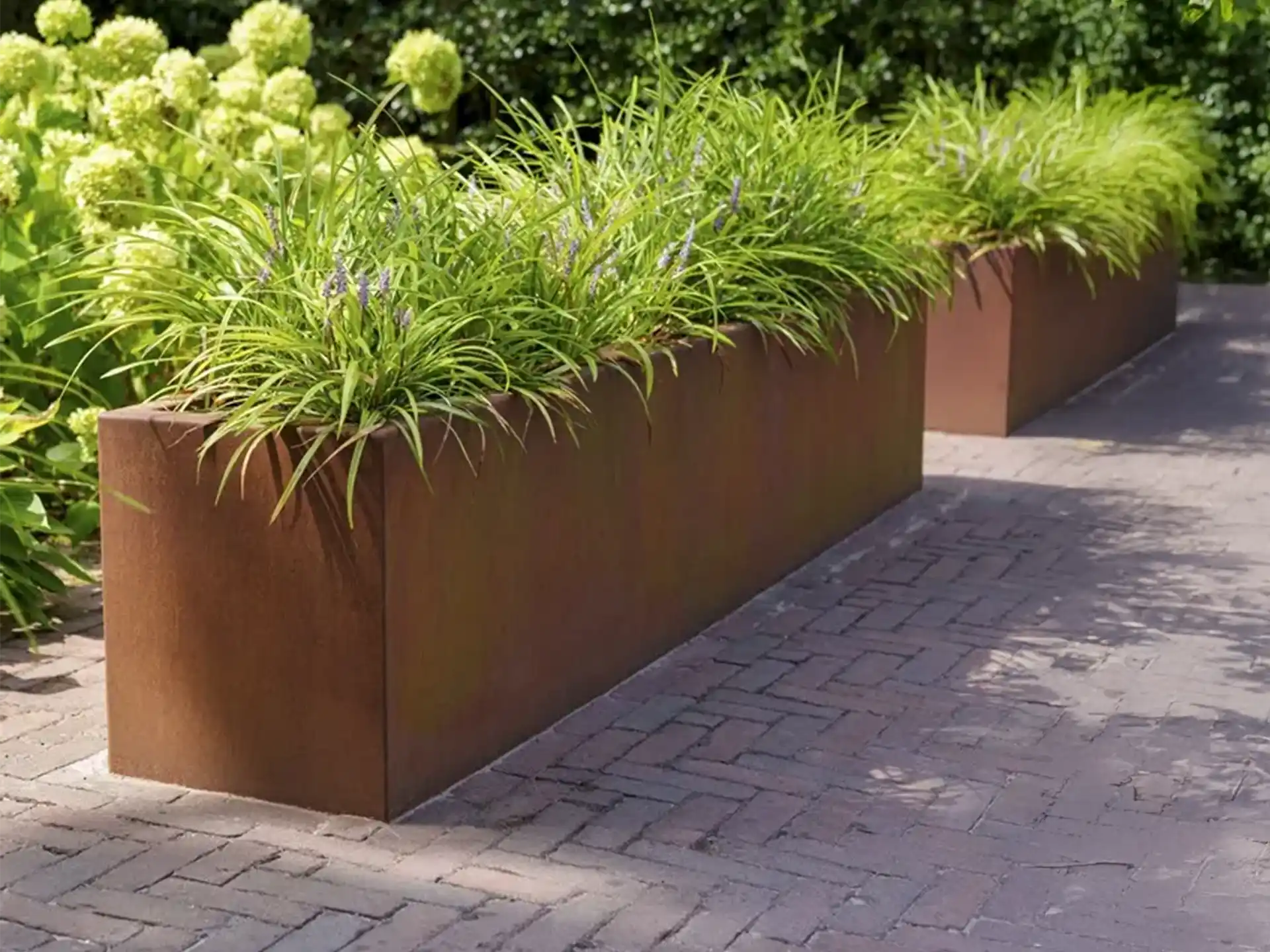 Rechthoekige Adezz Carrez Cortenstaal Plantenbak met bodem, beplant met groen en siergrassen langs een tuinpad.