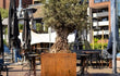 Adezz Carrez Cortenstaal Plantenbak Rechthoek met poten en bodem, met een olijfboom op een terras in de stad.