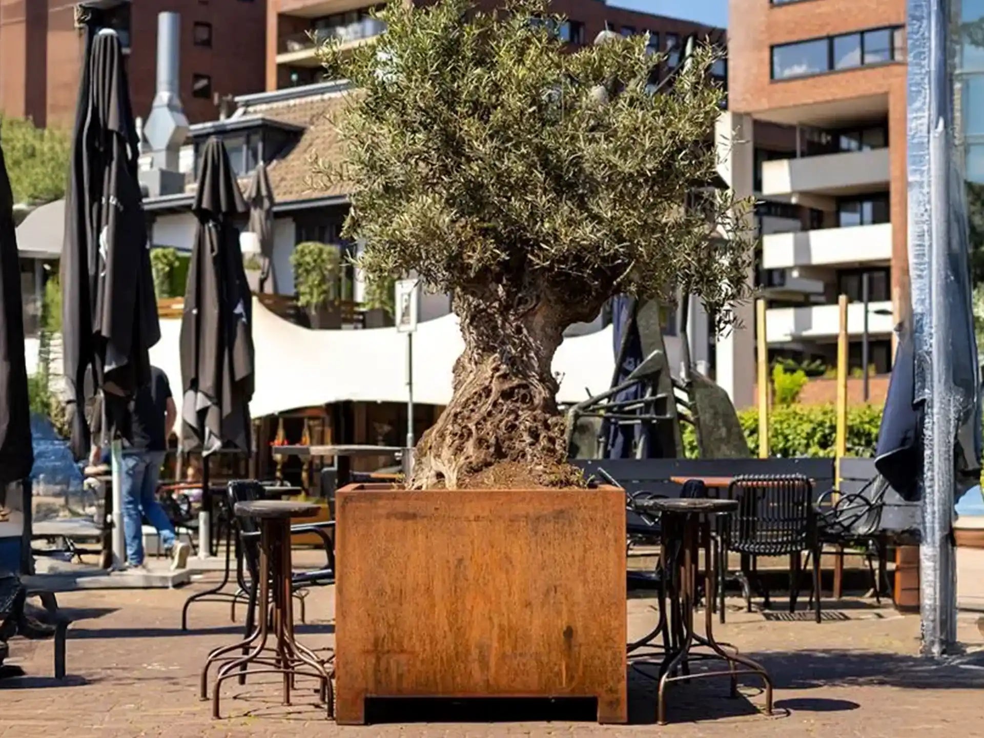 Adezz Carrez Cortenstaal Plantenbak Rechthoek met poten en bodem, met een olijfboom op een terras in de stad.