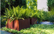 Adezz Carrez Cortenstaal Plantenbak zonder bodem, beplant met varens en geplaatst in een moderne tuin met veel groen.