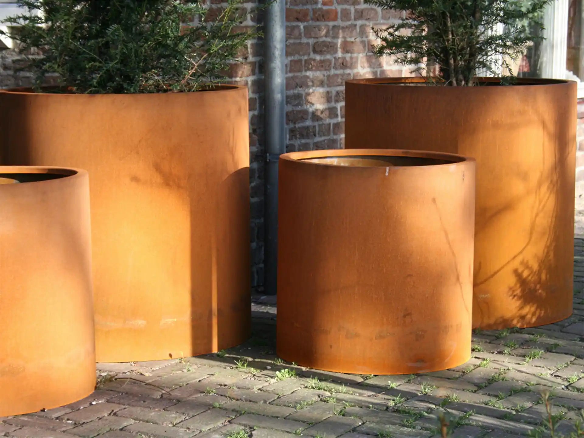 Verschillende Adezz Circum Cortenstaal Plantenbakken Rond Recht met bodem, beplant met bomen naast een bakstenen muur.