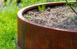 Close-up van de Adezz Circum Cortenstaal Plantenbak Rond zonder bodem, geplaatst in het gras met jonge aanplant.