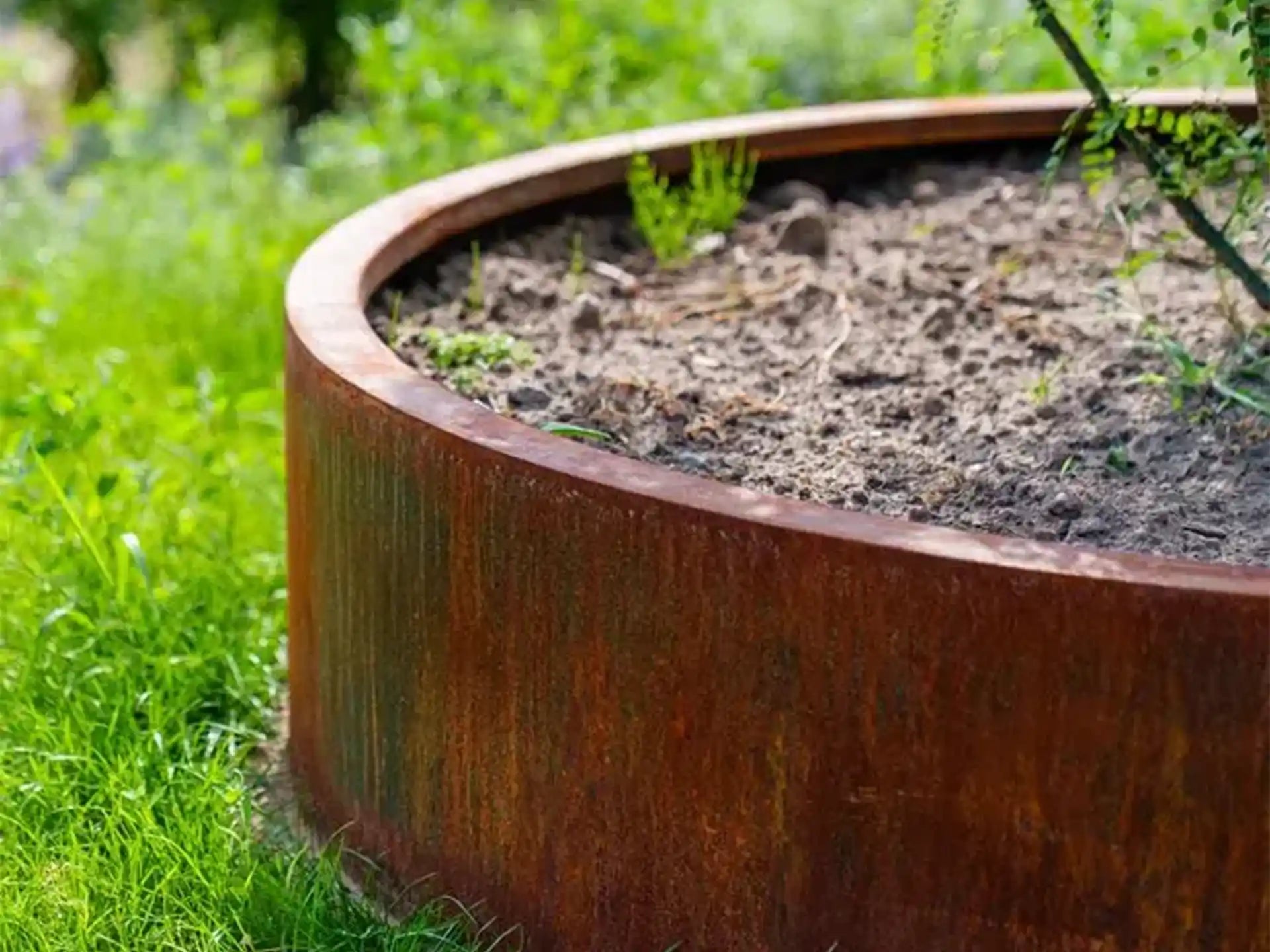Close-up van de Adezz Circum Cortenstaal Plantenbak Rond zonder bodem, geplaatst in het gras met jonge aanplant.