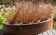 Adezz Ellipse Cortenstaal Plantenbak Ovaal met bodem, beplant met bruine siergrassen in een moderne tuin.