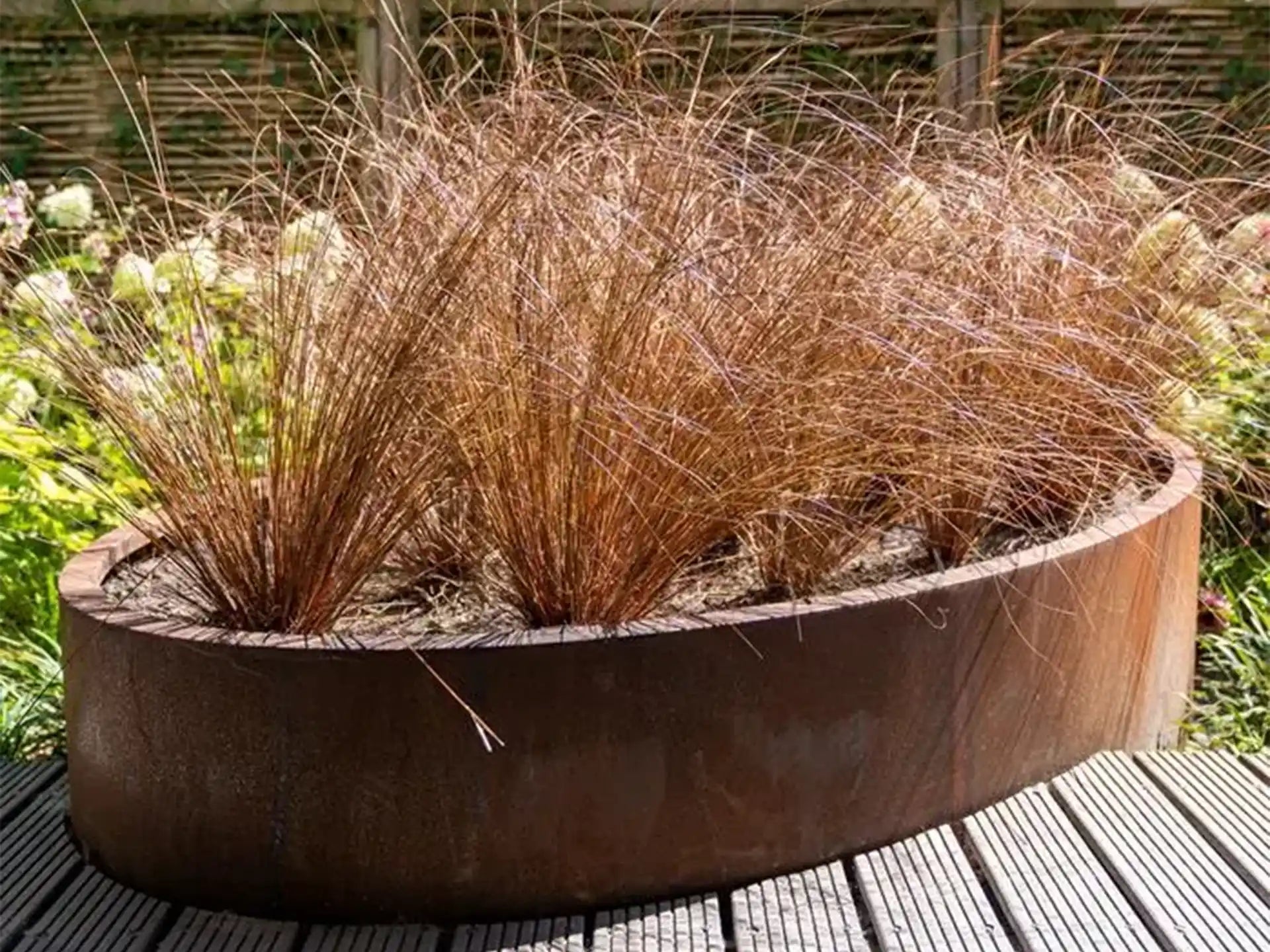 Adezz Ellipse Cortenstaal Plantenbak Ovaal met bodem, beplant met bruine siergrassen in een moderne tuin.