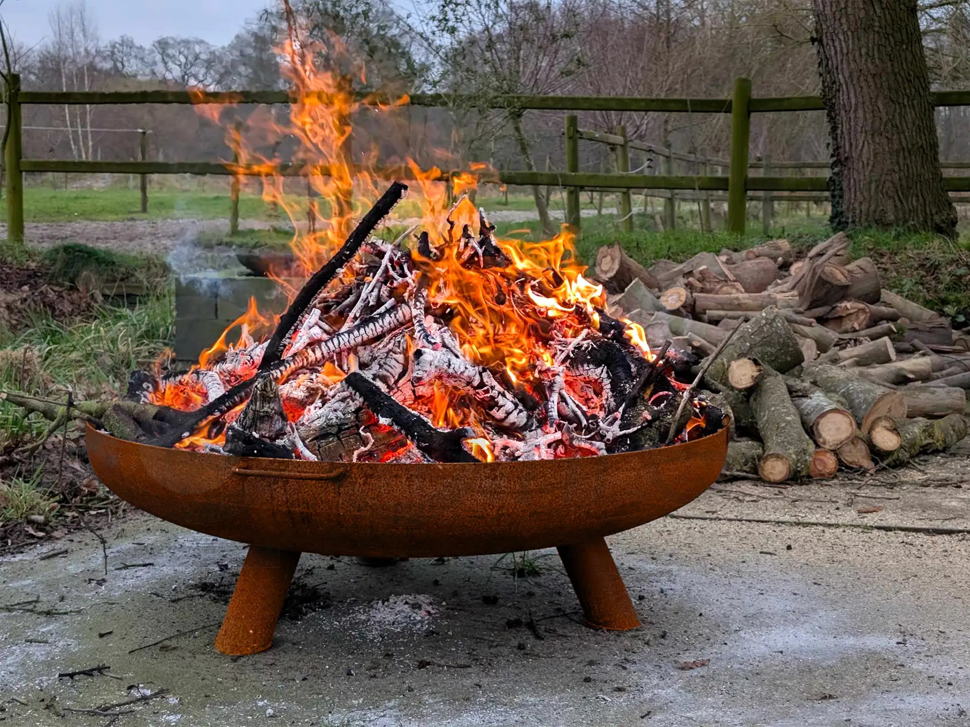 Lev vuurschaal cortenstaal met brandend houtvuur en gloeiende houtblokken, geplaatst op poten in een natuurlijke buitenomgeving met houtopslag op de achtergrond.