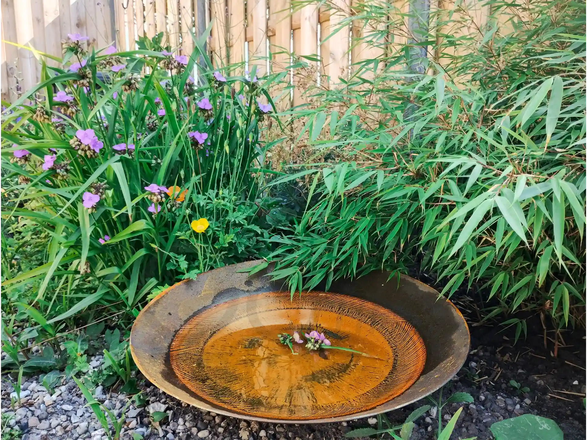 GoFire Soho waterschaal met fontein, omringd door bamboe en paarse bloemen, ideaal als stijlvol waterelement in de tuin.