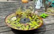 Gofire waterschaal met fontein, waterlelies en drijvende bladeren, geplaatst op een houten terras voor een sfeervol en rustgevend waterelement.