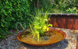 GoFire Soho waterschaal gevuld met waterplanten en fontein, geplaatst op grind in een tuin met groene achtergrondbeplanting.