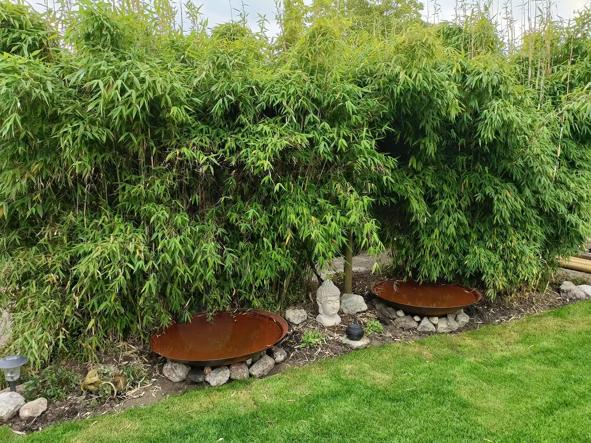 GoFire Soho waterschaal van cortenstaal, geplaatst in een tuin tussen hoge bamboeplanten en stenen rand voor een natuurlijke uitstraling.