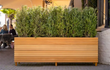 Adezz Malaga Rhombus hardhouten plantenbak, beplant met siergrassen en vaste planten op een buitenplaats.