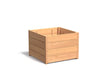 Adezz Carrez Hardhout Plantenbak Vierkant 80 x 80 x 58 cm met bodem