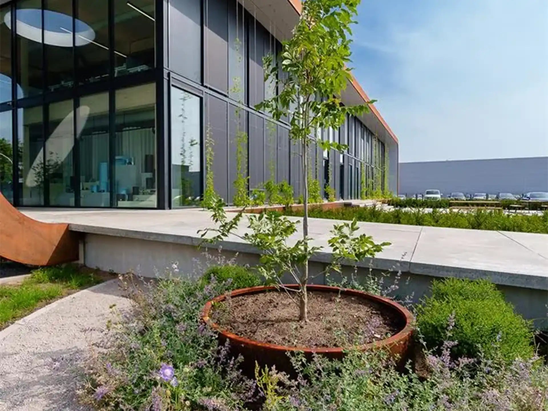 Adezz Circum Cortenstaal Plantenbak Rond zonder bodem, beplant met een jonge boom bij een modern kantoorgebouw.