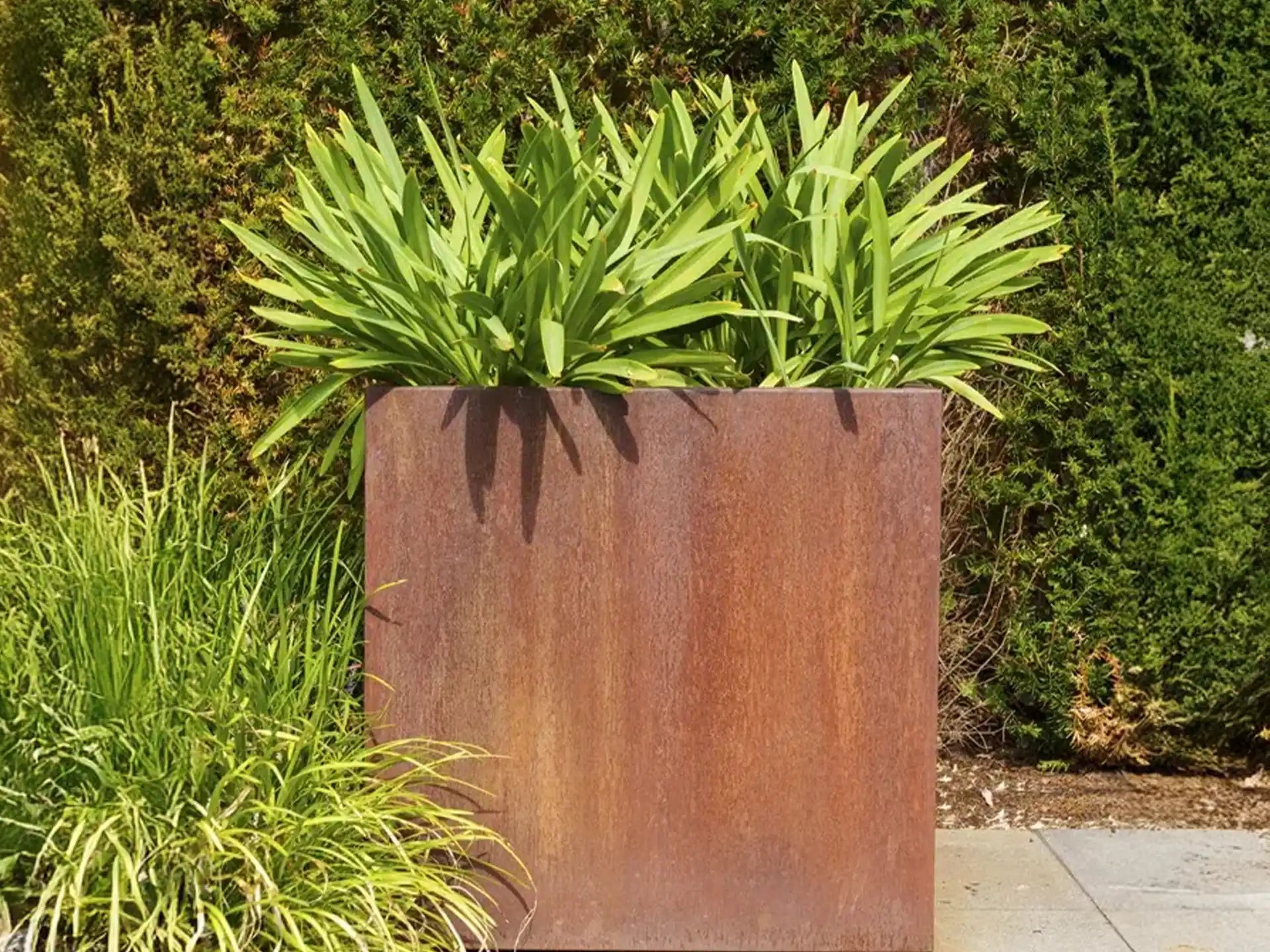 Hoge Adezz Carrez Cortenstaal Plantenbak met bodem, gevuld met groene planten in een strakke buitenruimte.