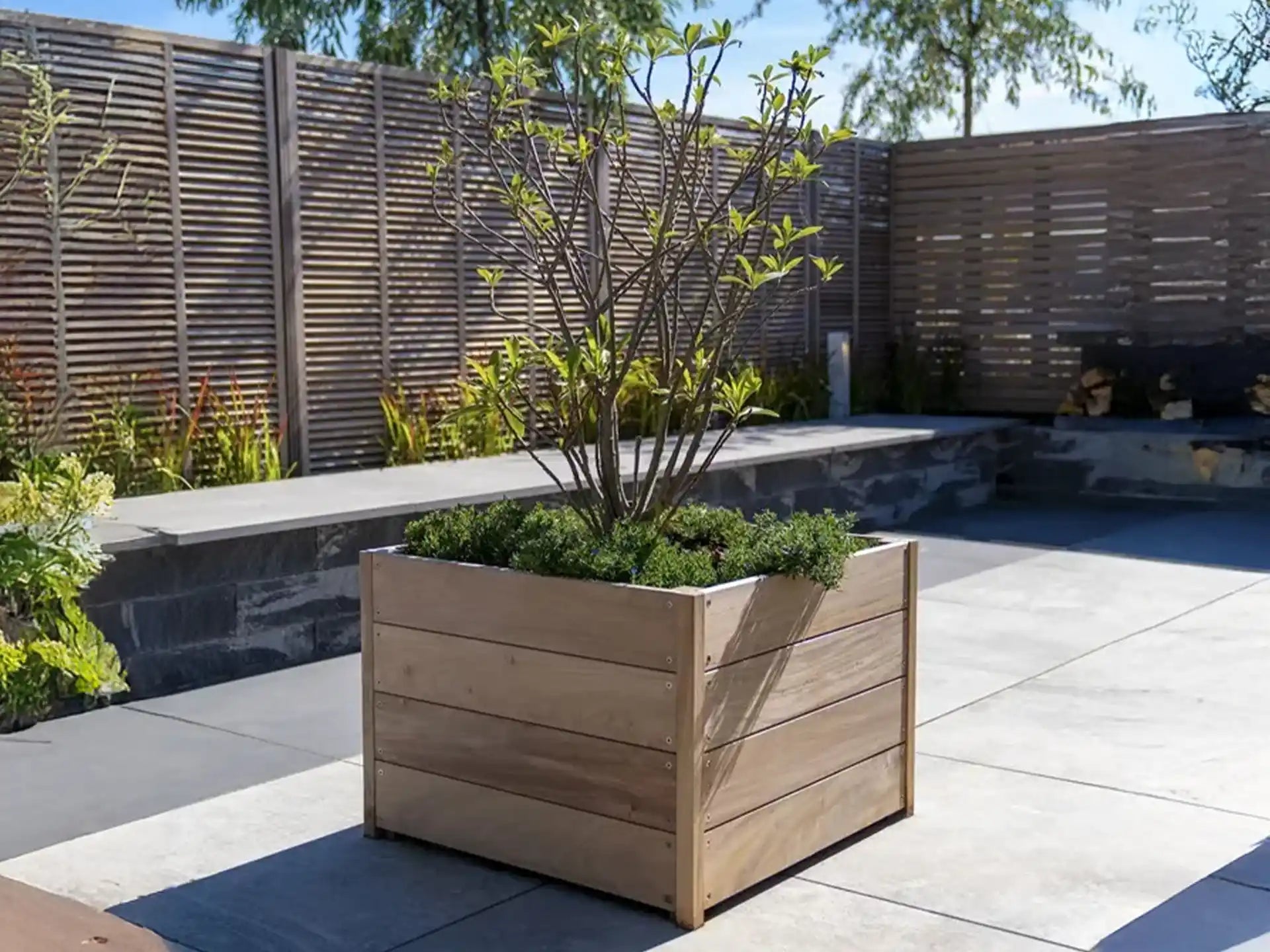 Adezz Carrez hardhouten plantenbak met bodem, gevuld met een boom en groen op een moderne patio.